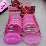 Zestaw 3w1 Liquid Lip Gloss Liner Matte Gloss Lady Lip