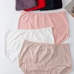 Majtki damskie Finella rozmiary 2XL-4XL, zestaw wielokolorowy
