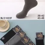 Skarpetki męskie Apollo Fashion szare