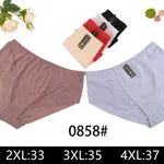 Majtki damskie 0858 2XL:33 3XL:35 4XL:37