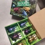 Zabawki Wind Up Beetle Twist&Cheer - żuki na sprężynę