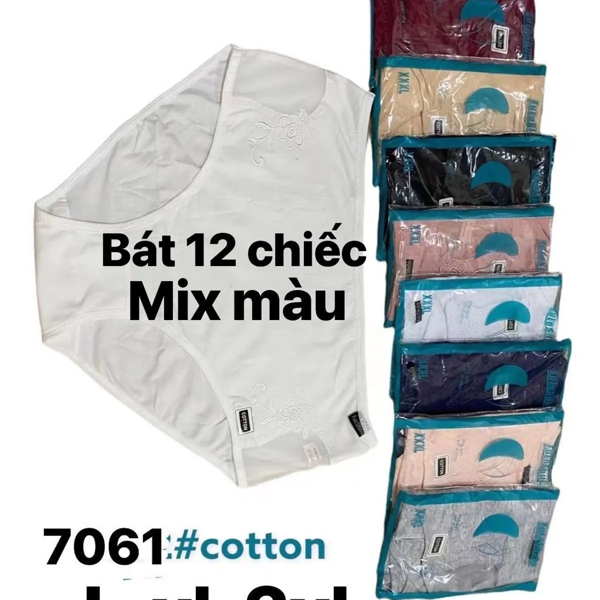 Majtki damskie bawełniane mix kolorów L-XL-2XL B12