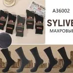 Skarpetki męskie Sylvelive Maxpobbie A36002