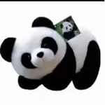 Maskotka pluszowa panda czarna i biała