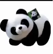 Maskotka pluszowa panda czarna i biała