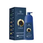 Farba do Włosów Qiweitang 500ml