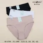 Majtki damskie bawełniane Rosa&Junio XL-4XL NO:6700