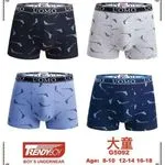 Bokserki męskie Trendy Boy UOMO 4 szt G5092