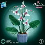 Znanii Zbuduj Klocki Kwiaty Phalaenopsis Flowers Series