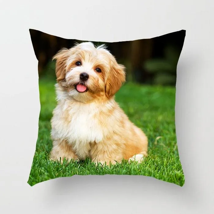 Poszewka 40x40cm z psem Shih Tzu na zielonej trawie