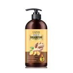 Szampon UZAN Anti Hair Loss Ginger Oil 500ml