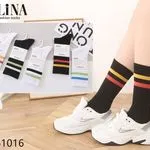 Skarpetki damskie Alina Fashion BL61016