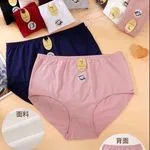 Majtki damskie bawełniane XL-XXL-XXXL 95% bawełna