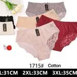 Majtki damskie bawełniane XL-3XL 1715#