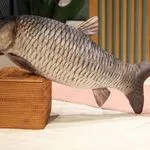 Maskotka Pluszowa Ryba Karp 60cm