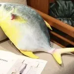 Maskotka Pluszowa Ryba Żółto-Szara 60cm