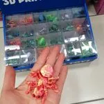Zabawki 3D Druk Ruchome Figurki Pająki Miks Kolorów 24szt