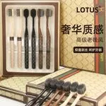 Zestaw 6 szczoteczek do zębów Lotus