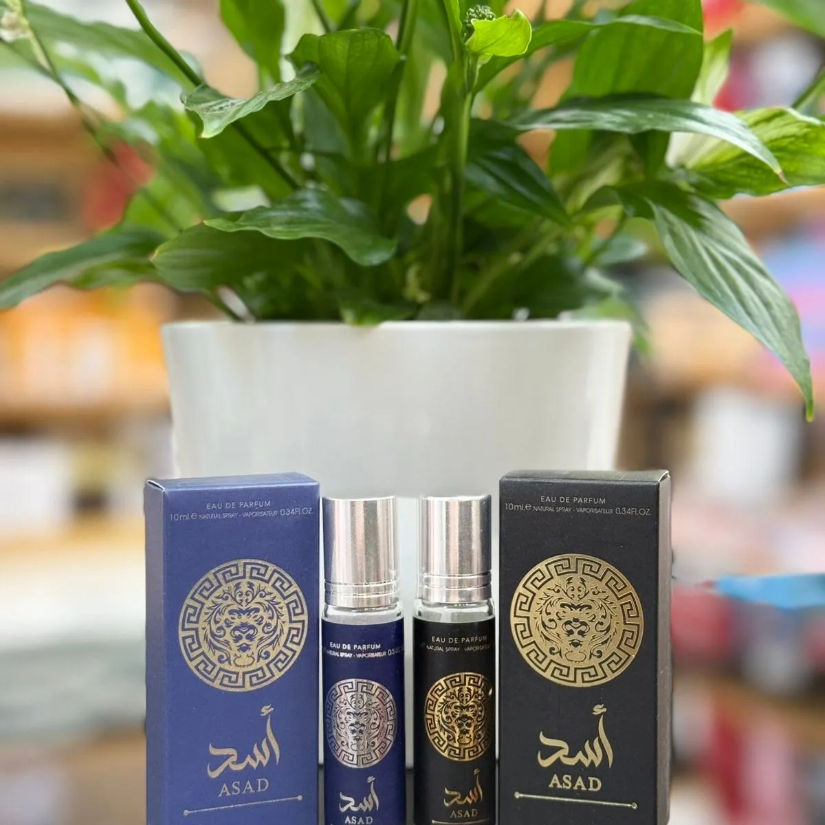 Perfumy Asad 10ml roll-on w butelce granatowej