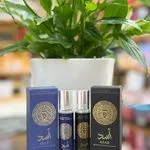 Perfumy Asad 10ml roll-on w butelce granatowej