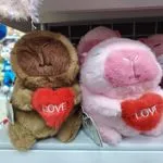 Maskotka Pluszowa Kapibara 25cm z Serca LOVE Brązowa