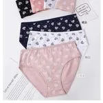 Majtki damskie bawełniane L-XXL-XXXL, zestaw 6 kolorów