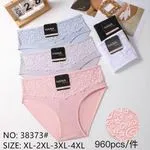 Majtki damskie HANA XL-2XL-3XL-4XL koronka 4 kolory