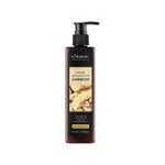 Szampon Ginger KORMESIC Anti Hair Loss 300ml