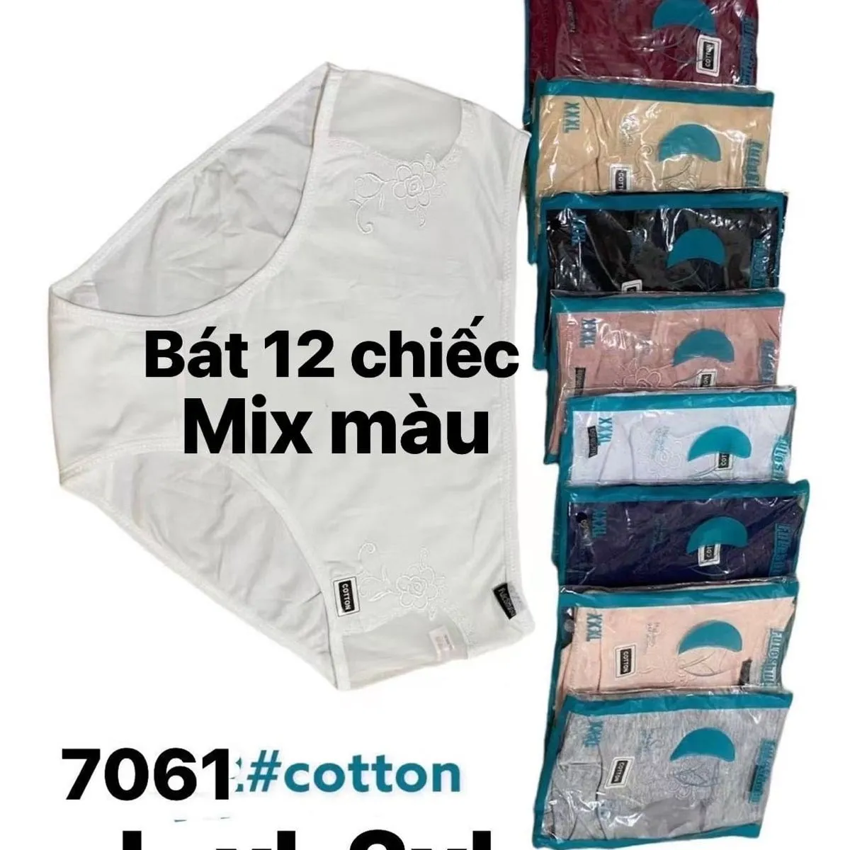Majtki damskie bawełniane mix kolorów L-XL-2XL B12