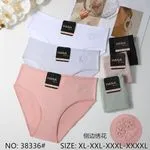 Majtki damskie HANA XL-XXXXXL, 5 szt. wielopak, NO: 38336