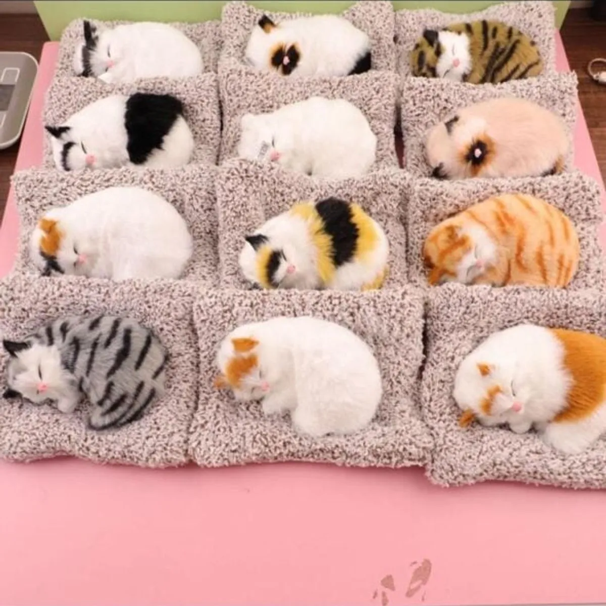 Maskotka Pluszowa Śpiący Kotek na Poduszce Mix 12 szt.