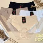 Majtki damskie L-XXL #865 Lula 4 kolory