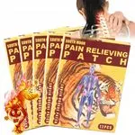 Plasty South Moon Pain Relieving 12 szt