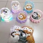 Zabawki Kotek na baterie LED w ozdobnym koszyczku, 10 szt. Mix