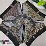 Majtki damskie XL-4XL wzór leoparda czarne koronka