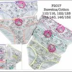 Majtki dla dzieci bawełniane F2017 z kotami, rozmiary 110/116-146/152