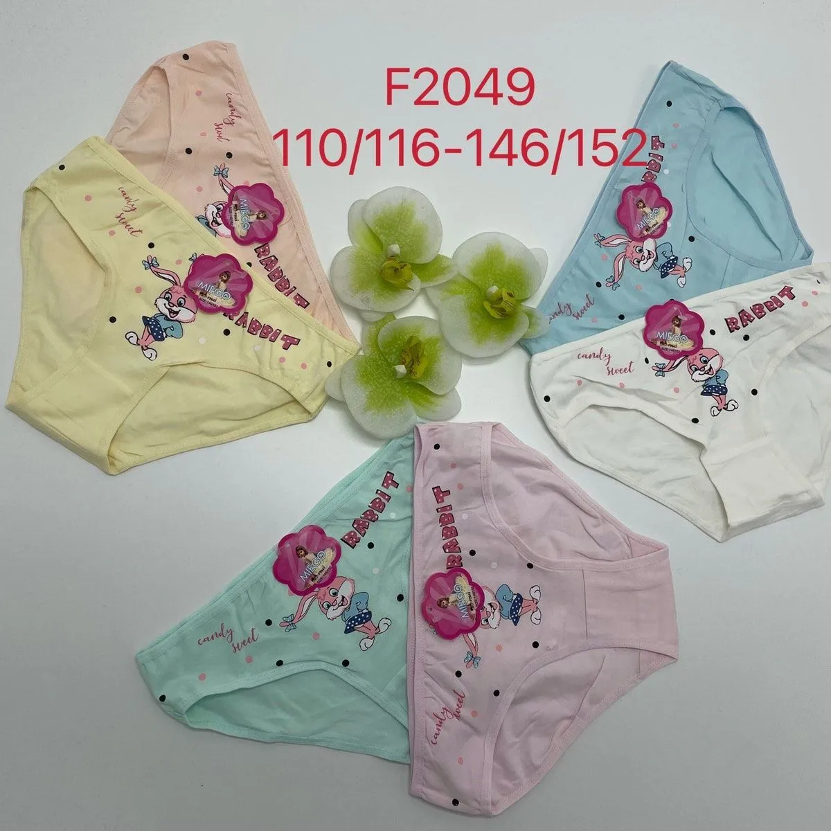 Majtki dla dzieci F2049 rozmiary 110/116-146/152, 5 kolorów