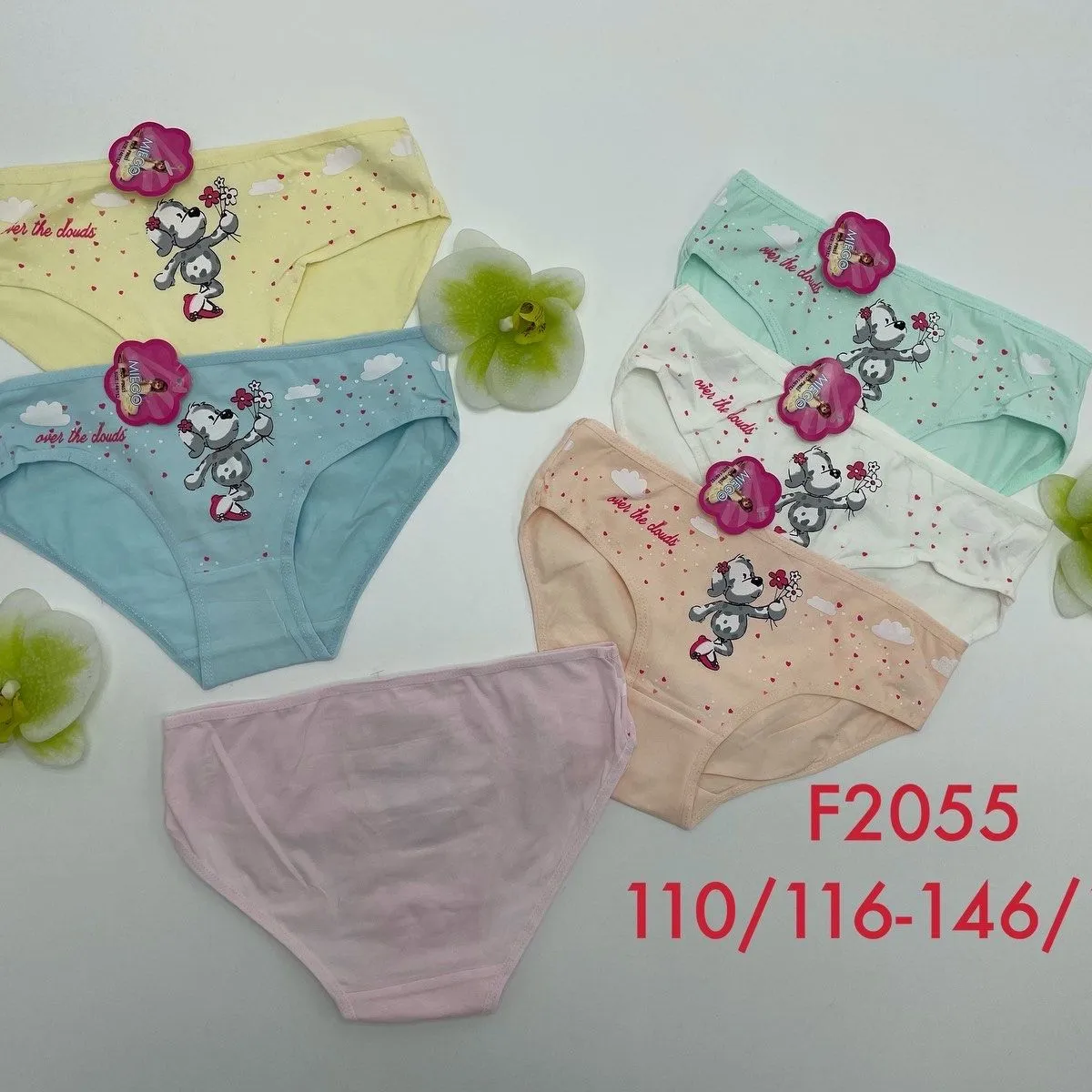Majtki dla dzieci F2055 rozmiary 110/116-146/152