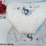 Majtki dziewczęce bawełniane wróżka 110-152 C18