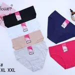 Majtki damskie Handy's Flower 85 XL XXL, 5 szt mix kolorów