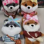 Maskotka Pluszowa Raccoon 27cm w Ubranku z Akcesoriami Mix Wzorów
