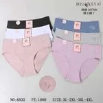 Majtki damskie bawełniane Rosa Junio XL-4XL haft stopy 24szt