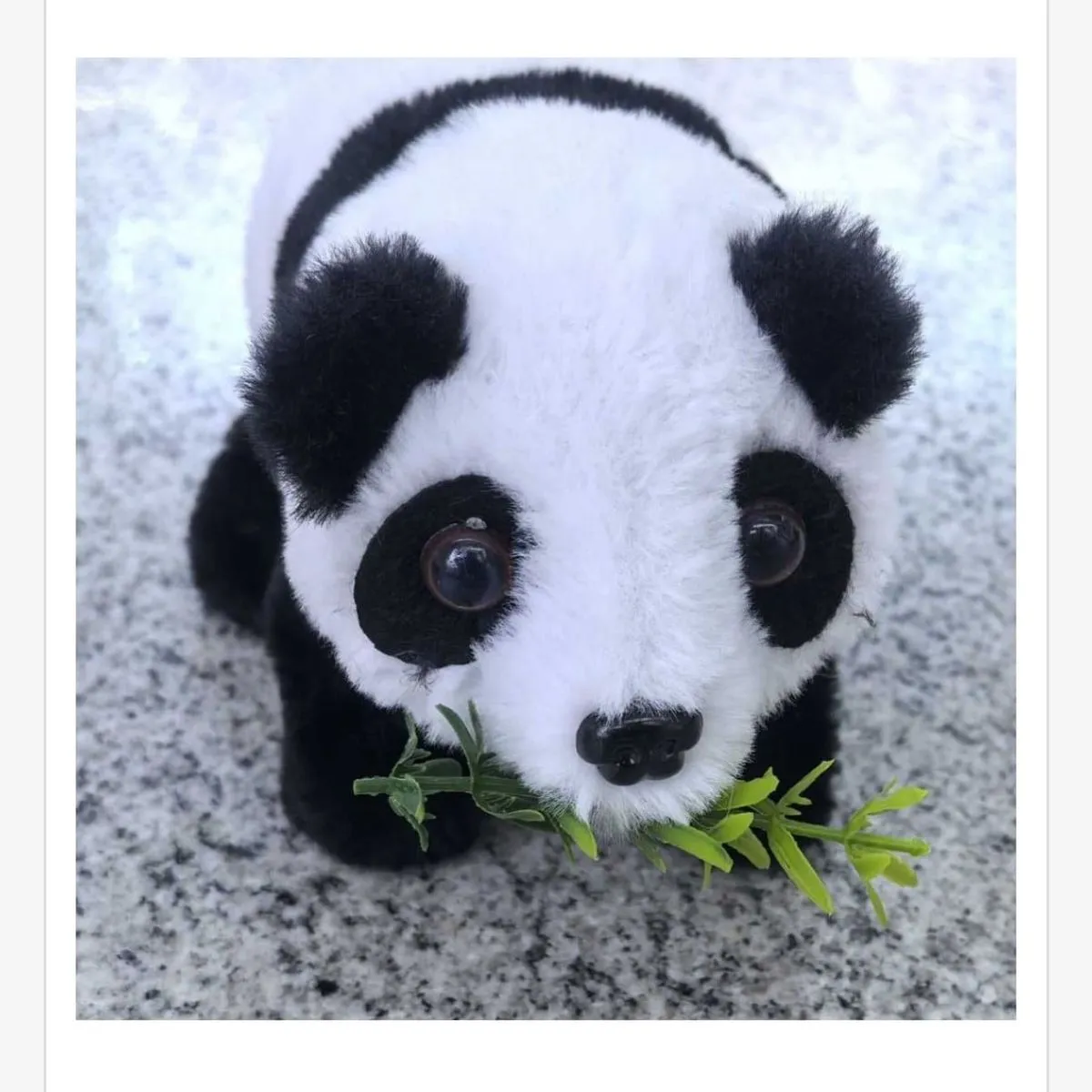 Zabawka Elektryczna Pluszak Panda z Gałązką Bambusa na Baterie