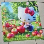 Poduszki 40/40 Hello Kitty z jabłkami