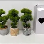 Sztuczne drzewka bonsai w ceramicznych doniczkach