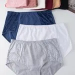 Majtki damskie Finella WNMC-83025+ 5XL/6XL/7XL/8XL