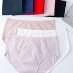 Majtki damskie Finella rozmiar 36 XL-XXL-XXXL
