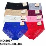 Majtki damskie koronkowe XL-5XL NO:8037