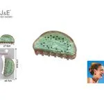 Klamra do włosów J&E 7,5cm wzór kiwi zielona 12 szt.