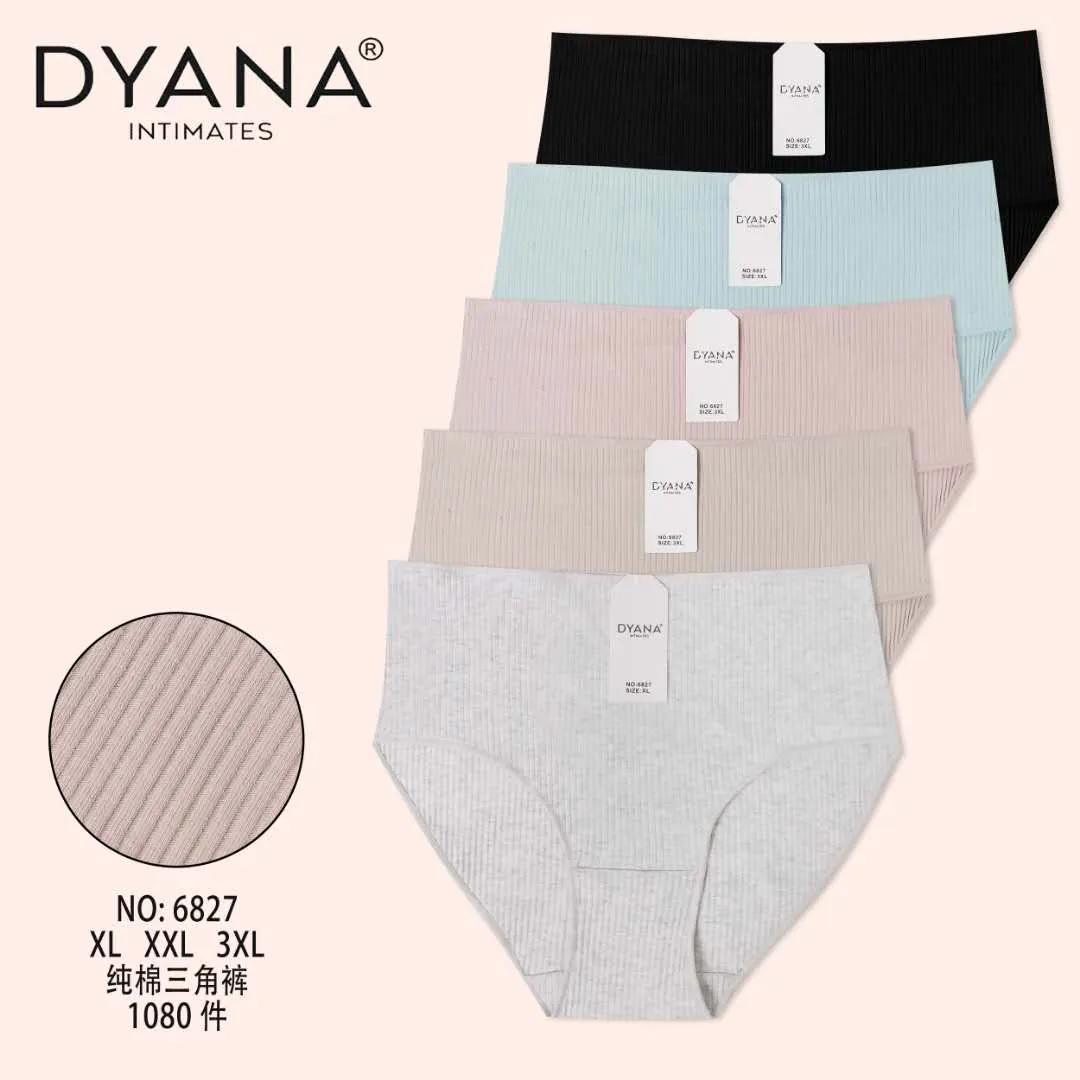 Majtki damskie DYANANANA XL-3XL 5 szt. rozmiar 6827